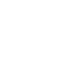BrieflyVoice